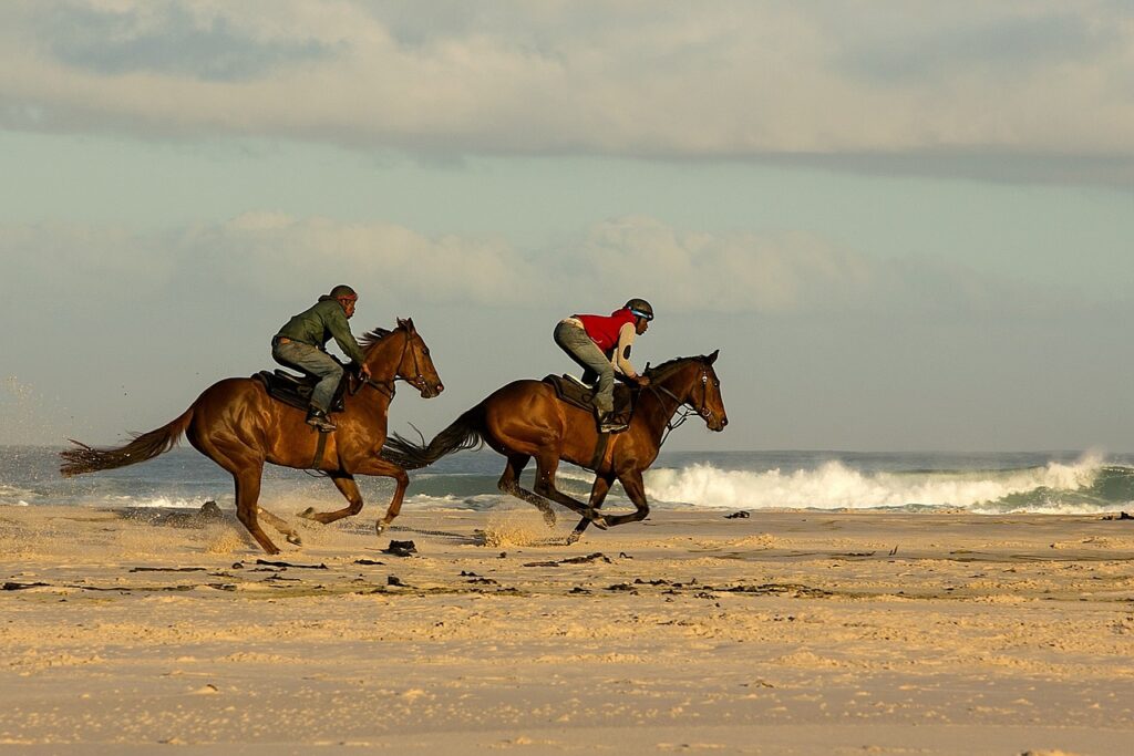 beach, horses, racing-2731732.jpg