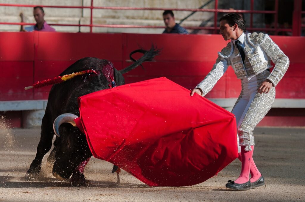 bullfight, bulls, arenas-2012796.jpg