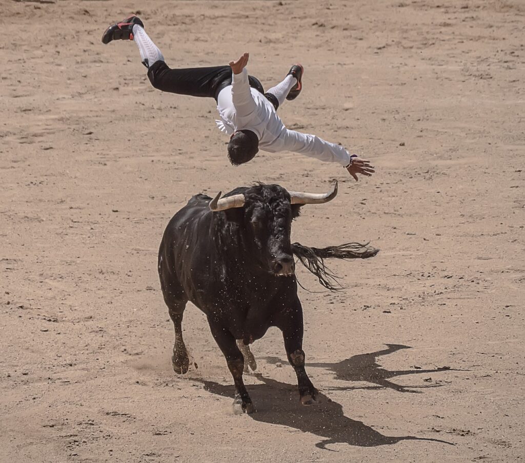 trimmers, torero, bullfighters-2314774.jpg